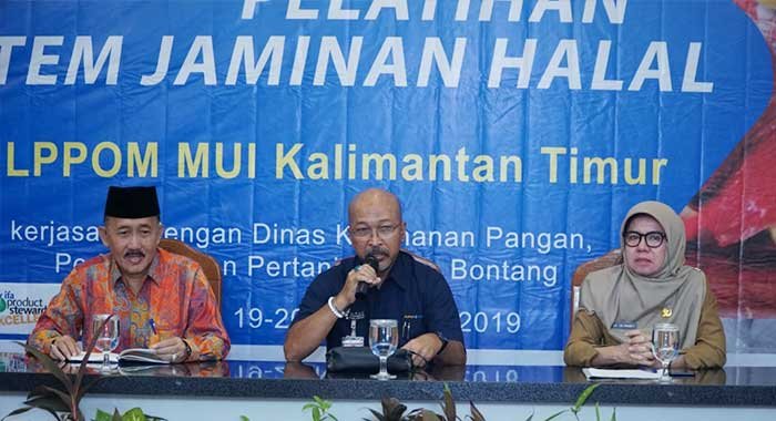 Pelatihan