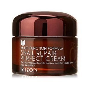 Produk Snail Skincare Korea Mizon Snail Repair Perfect Cream