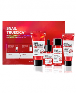 Produk Snail Skincare Korea Some By Mi Snail Truecica Kit