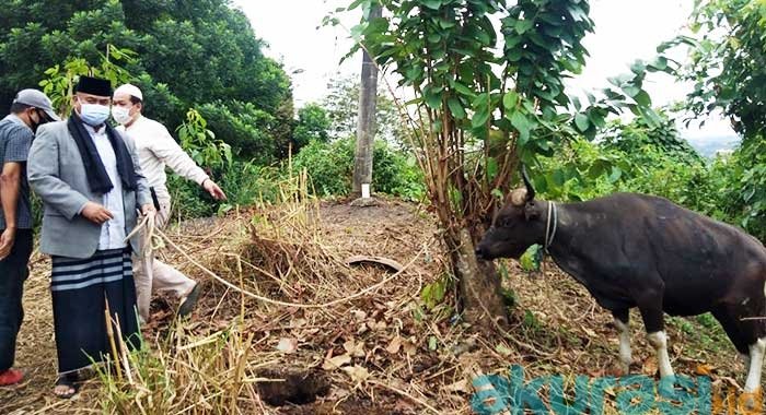 Bupati Kukar Edy Damansyah Berikan Satu Ekor Sapi Kurban Kepada Awak Media