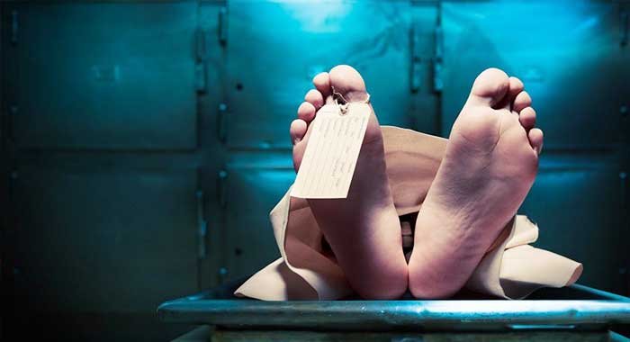 Berawal dari Cekcok, Anak Bunuh Ayah Kandungnya dan Lukai Istrinya