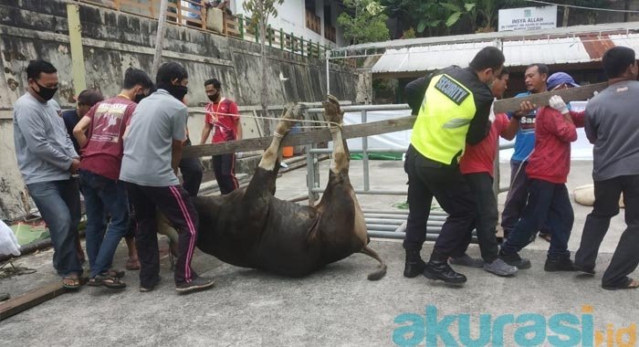 Tetap Patuhi Protokol Kesehatan, Yayasan Yabis Sembelih 8 Sapi