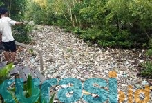 Sampah Menumpuk di Taman Mangrove Berbas Pantai, Lurah Jadwalkan Kerja Bakti