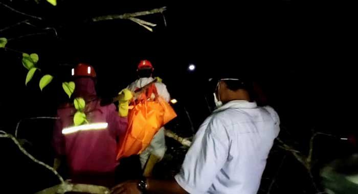 Menghilang dengan Uang Rp16 Juta di Hutan, “Nenek Sewa” Ditemukan dengan Kondisi Jasad Tak Utuh