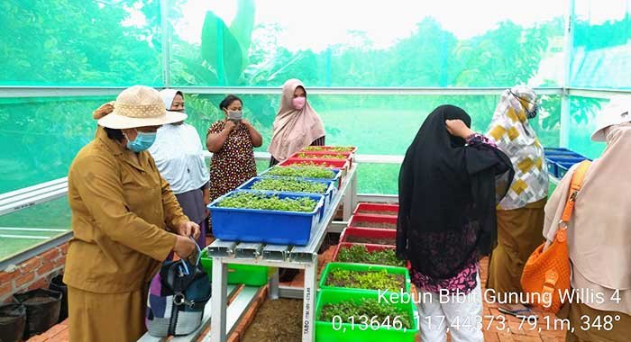 Hobi Menanam saat Pandemi, DPK3 Bontang Apresiasi Masyarakat Manfaatkan Pekarangan