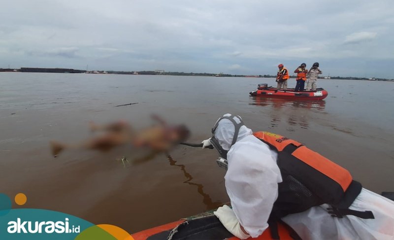 5 Hari Hilang di Sungai, Remaja Samarinda Ditemukan Tewas di Perairan Palaran 