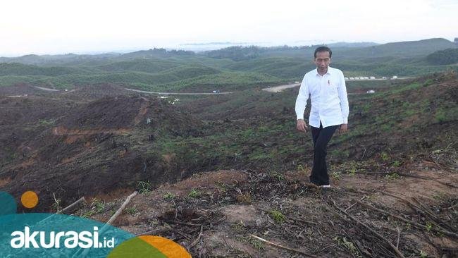 Draf RUU IKN: Pemindahan Ibu Kota Sebelum Jabatan Jokowi Berakhir
