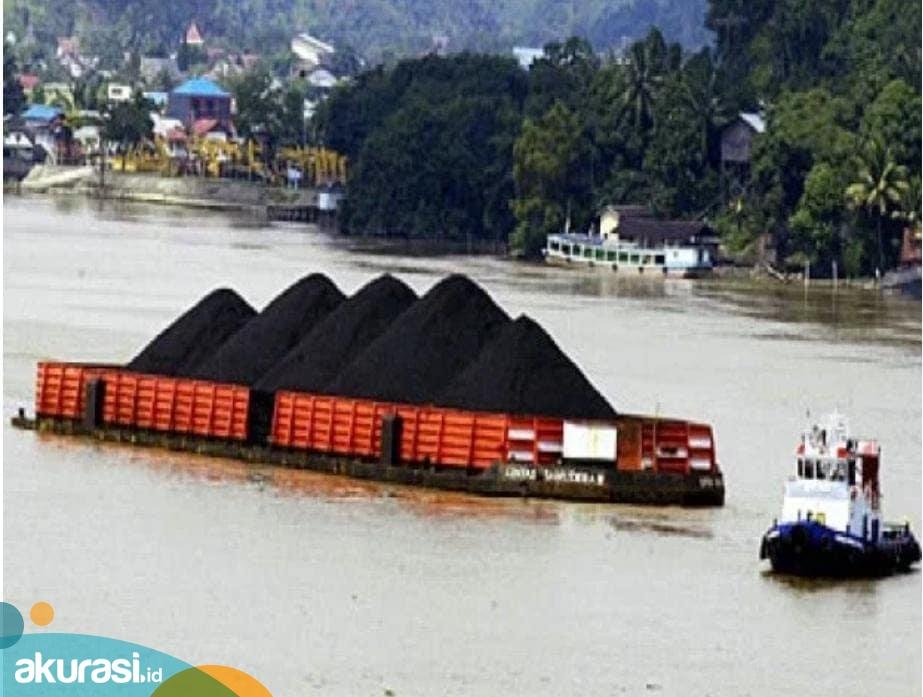Pengusaha batu bara Tan Paulin, Kaltim, Ratu Batu Bara -Akurasi.id