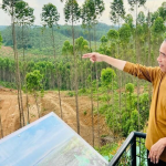 Jokowi Optimis Pembangunan IKN Nusantara Selesai dalam 15 Tahun