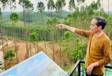 Jokowi Optimis Pembangunan IKN Nusantara Selesai dalam 15 Tahun