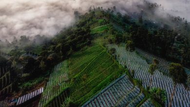 Mengungkap Keajaiban Alam Sukabumi: Petualangan Ekowisata di Jawa Barat