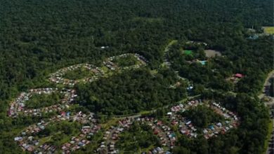Nikmati Pemandangan Kuala Kencana yang Menakjubkan: Permata Tersembunyi yang Terungkap