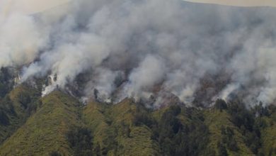 Pemotretan Prewedding di Gunung Bromo Berujung Kebakaran: Memicu Kekesalan di Media Sosial