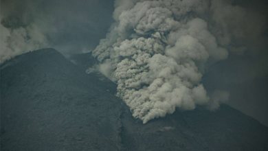 Gunung Lewotobi Meletus, BNPB Angkat Bicara