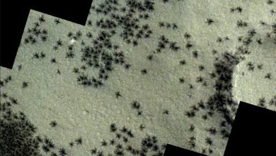 Mengungkap Misteri 'Laba-laba Raksasa' di Mars: Fenomena Alam dan Pareidolia