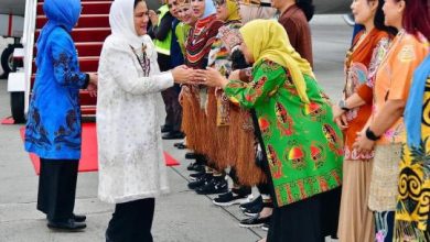 Kontroversi Penyambutan Ibu Negara di Bandara Sentani: Kehadiran Ibu-Ibu Tanpa Mama Papua