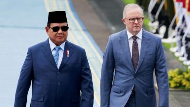 Presiden Prabowo dan PM Albanese Perkuat Kemitraan Strategis Indonesia-Australia hingga 2029